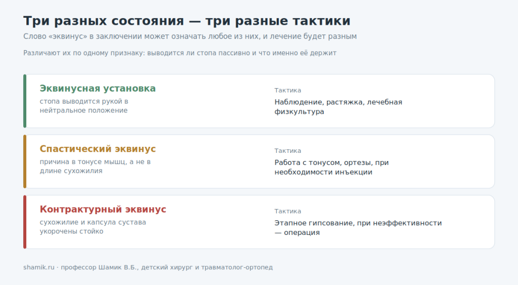 Три формы эквинуса: установка, спастический, контрактурный