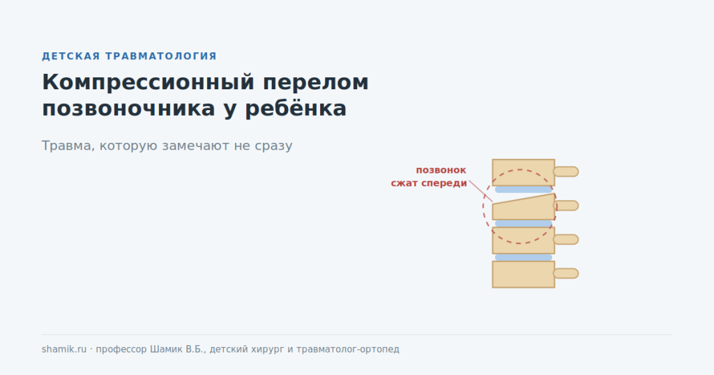 Компрессионный перелом позвоночника у ребёнка: позвонок сжат спереди и стал клиновидным