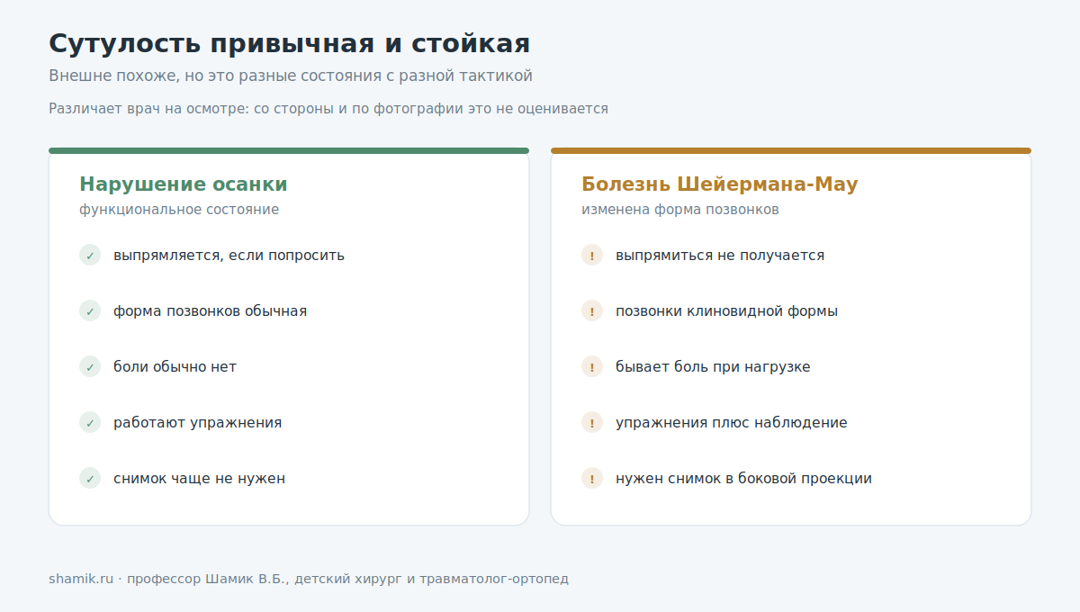 Сравнение нарушения осанки и болезни Шейермана-Мау: признаки и тактика