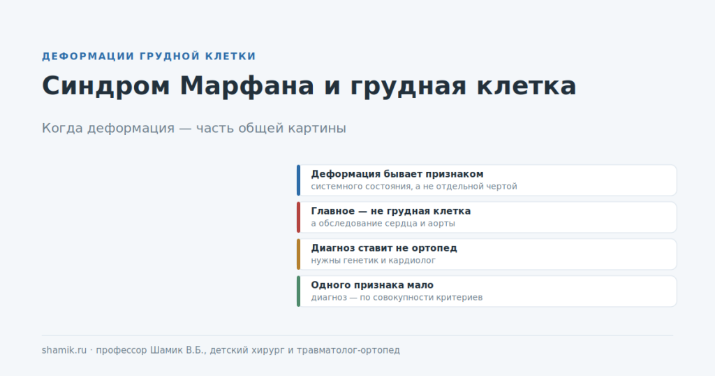 Синдром Марфана и деформация грудной клетки: что оценивают кроме формы груди